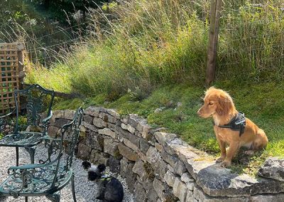 Bankside Cottage Garden Dog-Friendly